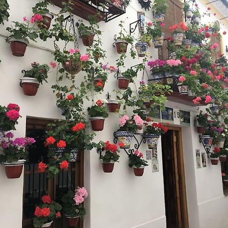 Apartamento El Rincon De La Verdad Cordoba Luaran gambar
