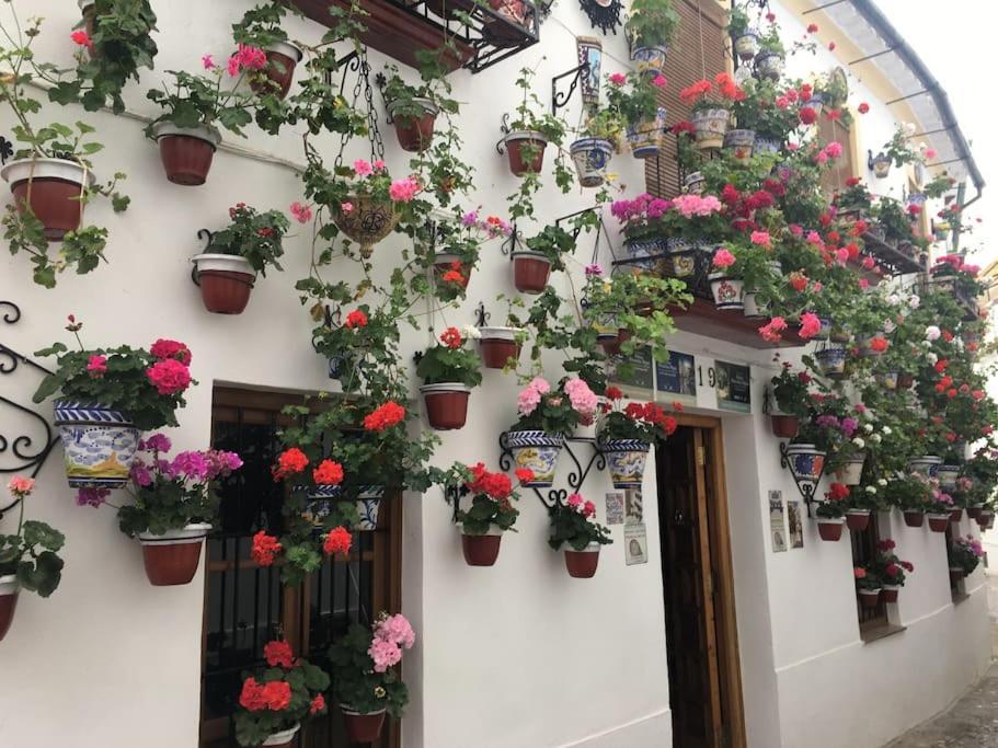 Apartamento El Rincon De La Verdad Cordoba Luaran gambar