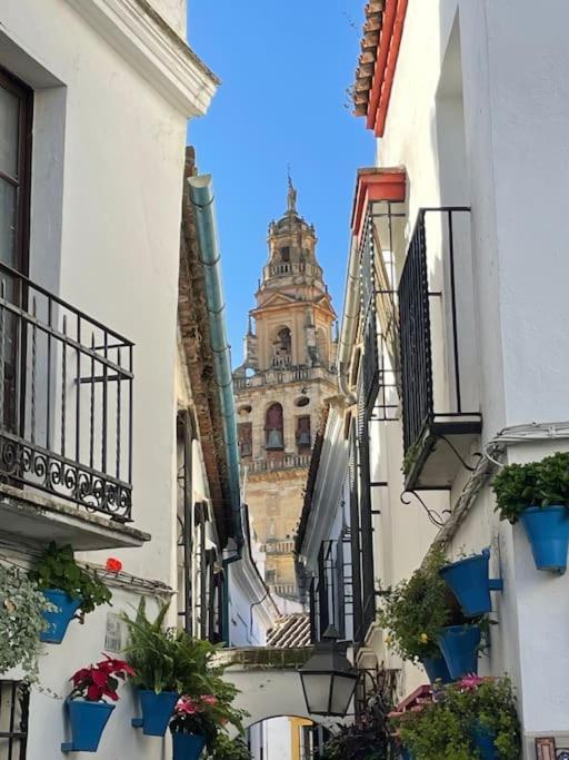 Apartamento El Rincon De La Verdad Cordoba Luaran gambar